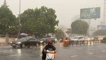 TPHCM mưa nhiều trong tuần mới