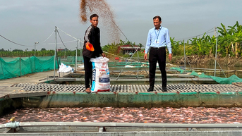 Vựa cá lồng vực dậy sau bão lịch sử, sẵn sàng phục vụ Tết
