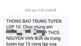 Chưa có điểm chuẩn lớp 10, học sinh nhận thông báo trúng tuyển, Sở GD-ĐT TP.HCM nói gì?