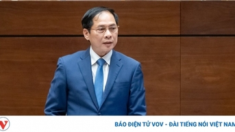 Bộ trưởng Bộ Ngoại giao Bùi Thanh Sơn giữ chức Phó Thủ tướng