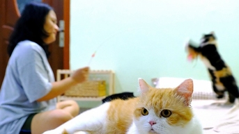 ជាង 30 ដើម្បីគិតអំពីអាពាហ៍ពិពាហ៍