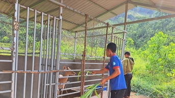 Xây dựng chính sách hỗ trợ đất đai vùng đồng bào dân tộc thiểu số