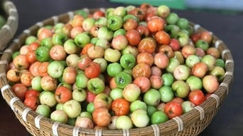 Thay vì uống nước muối, hãy chú ý cơ chế thải độc tự nhiên của cơ thể