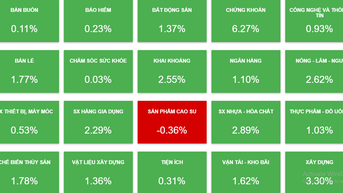 Chứng khoán đảo chiều thành công sau 4 phiên lao dốc, VN-Index tăng gần 16 điểm