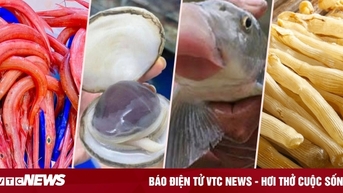 6 đặc sản vùng miền đắt đỏ nhất Việt Nam