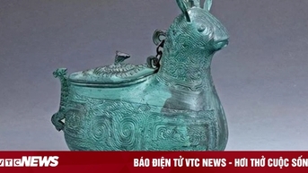 Vào hang bắt cáo, lão nông không ngờ tìm được bảo vật nghìn năm có một