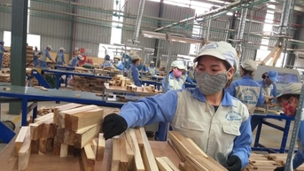 Mỹ, Trung Quốc 'chi đậm' tăng mua gỗ Việt