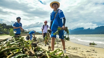 Bạn trẻ "đội nắng" vớt bèo dạt vào bờ biển Đà Nẵng sau bão số 4