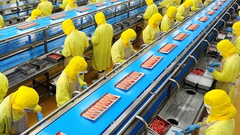 Để tôm Việt… bay xa