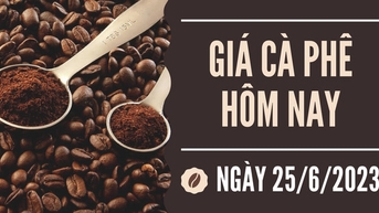 Giảm cao nhất 1.400 đồng/kg trong tuần qua