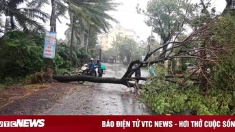 Bão số 6 trên vùng biển Quảng Trị đến Quảng Nam, diễn biến rất phức tạp