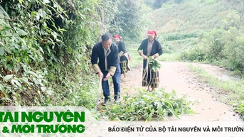 Giáo dân Sa Pa với phong trào sống xanh