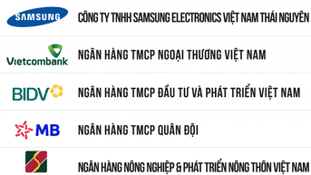ក្រុម​ហ៊ុន​ប្រេង​និង​ឧស្ម័ន​វៀត​ណាម​នាំ​មុខ​សហគ្រាស​ដែល​រក​បាន​ប្រាក់​ចំណេញ​ច្រើន​បំផុត​ចំនួន 500 នៅ​វៀតណាម​ក្នុង​ឆ្នាំ 2024
