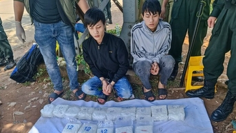 Bắt 2 anh em vận chuyển thuê 20 kg ma túy