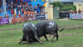 អ្វី​ដែល​មិន​ដឹង​អំពី​ម្ចាស់​ក្របី