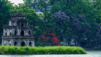 Ngắm Hà Nội lãng mạn trong mùa hoa bằng lăng tím