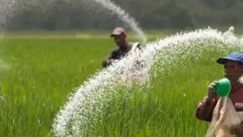 Chốt áp thuế VAT 5% đối với phân bón