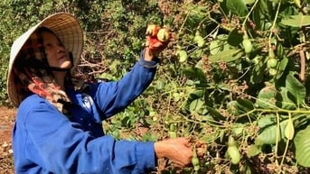 Đối thủ tăng thần tốc, báo động thế mạnh top 1 thế giới của Việt Nam