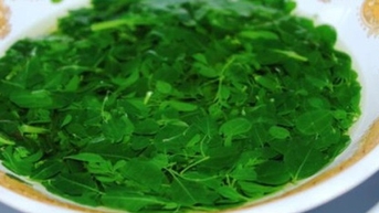 Đừng quên chùm ngây, nhất là trong mùa đông
