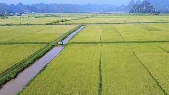 Thuế VAT với mặt hàng phân bón: Bài cuối