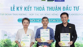 លក់តែចំបើងបន្លែទៅអឺរ៉ុប អាជីវកម្មចាប់ផ្តើមបានចុះហត្ថលេខាលើកិច្ចព្រមព្រៀងវិនិយោគ ១១ ពាន់លានដុងជាមួយក្រុមហ៊ុនយក្សចំនួន ២