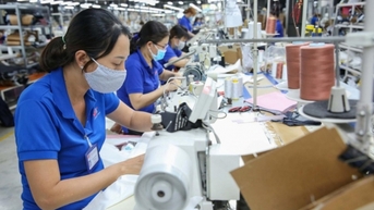 Năm 2024, thương mại Việt Nam