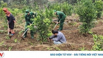 Xây dựng lực lượng Biên phòng tại Quảng Ninh đáp ứng yêu cầu trong tình hình mới