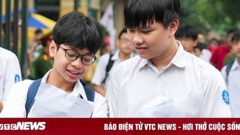 Đề Ngữ văn thi học sinh giỏi quốc gia năm 2024