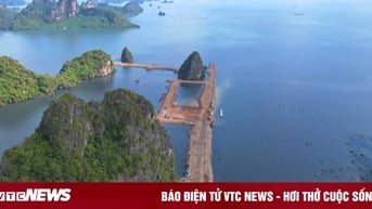 Quảng Ninh chỉ đạo làm rõ