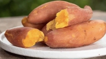 Thêm lợi ích từ khoai lang