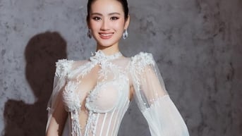 'Hoa hậu Ý Nhi là đại diện hoàn hảo cho vẻ đẹp Việt Nam'