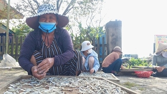 រឿងចម្លែកនៅខេត្ត Quang Tri ហេតុអ្វីបានជាភូមិនេសាទទាំងមូលត្រូវ "រត់" រាប់រយគីឡូម៉ែត្រឡើងភ្នំដើម្បីត្រីស្ងួត?