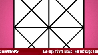 Trong bức ảnh này có bao nhiêu hình vuông?