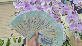 Gửi 300 triệu, nhận lãi ra sao?