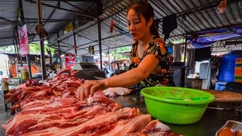 Giá thịt lợn lập đỉnh cao mới, chen chân mua thịt trâu chọi Đồ Sơn