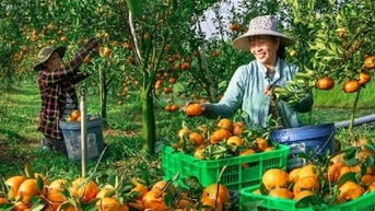 Phát động cuộc thi Việt Nam hạnh phúc, tổng giá trị giải thưởng 400 triệu đồng