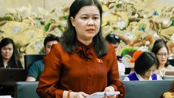 Đại biểu Quốc hội lo ngại "sốt" đất nông nghiệp nếu thí điểm cho làm nhà ở thương mại