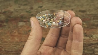 Não người chứa hàm lượng nhựa đáng kinh ngạc