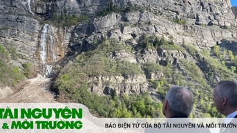 Cần hành động khẩn cấp