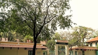 Tạm dừng ăn bán trú gần 1.400 học sinh Trường THPT Lê Quý Đôn ở TPHCM