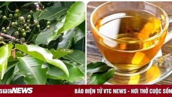 ការ​ផឹក​ទឹក​ស្លឹក​ត្របែក​ជា​រៀង​រាល់​ថ្ងៃ​មាន​ការ​ប្រើ​ប្រាស់​តិច​តួច​ជា​ច្រើន។