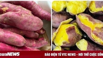 Những người không nên ăn nhiều khoai lang