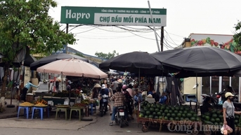 Sức mua tại chợ đầu mối phía Nam Hà Nội giảm mạnh