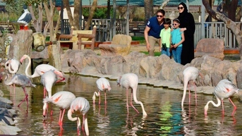 Đến du lịch tại Bahrain không nên bỏ lỡ các điểm tham quan này