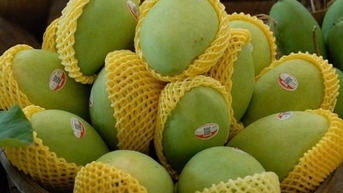 Xuất khẩu nông sản tới Hàn Quốc cần lưu ý dư lượng thuốc bảo vệ thực vật