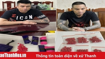 Bắt giữ 2 đối tượng mua bán gần 1.000 viên hồng phiến 