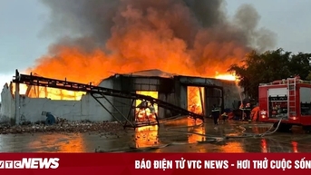 Lửa thiêu rụi xưởng sản xuất bột cá ở Quảng Bình, thiệt hại gần 100 tỷ đồng