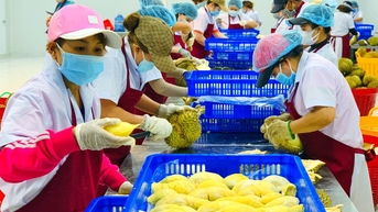 Thương mại nông nghiệp Việt Nam