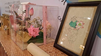 Nông dân Đồng Tháp thu cả trăm triệu đồng nhờ vừa trồng sen vừa làm du lịch