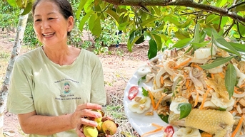 Hái quả mỏi tay, thưởng thức gỏi gà măng cụt rẻ 'khó tin' ở khu vườn trăm tuổi